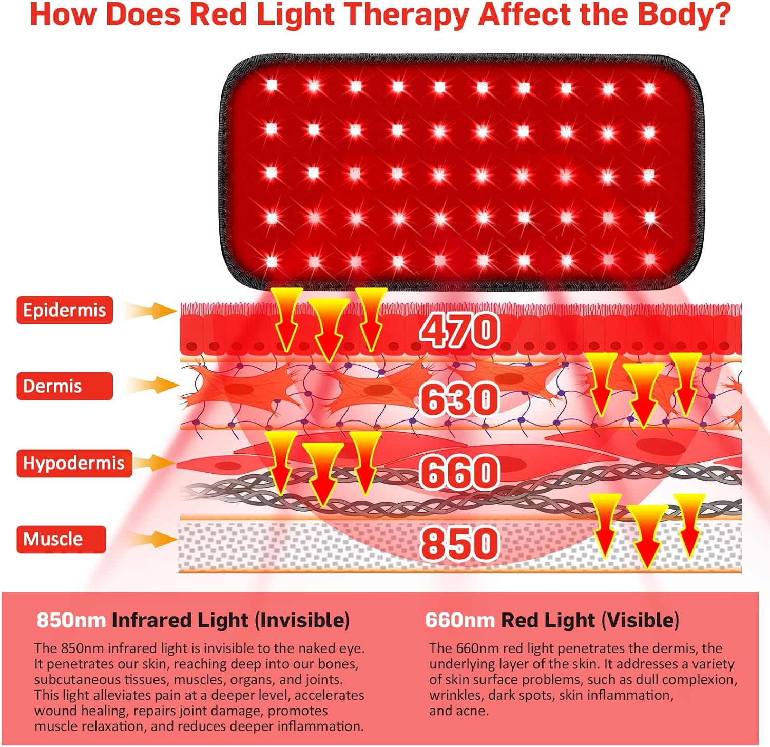 Red Light Therapy Belt, Infrared Light Therapy for Body Wearable Wrap with Timer for Back Shoulder Waist Muscle Pain Relief, Reduce Inflammation and Joint Pain, Infrared Light Therapy for Pain